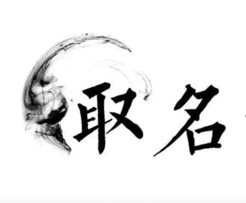  正阳宝宝取名 大师一对一人工起名